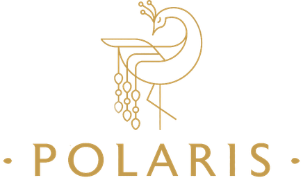 Excellaa Polaris Bavdhan logo